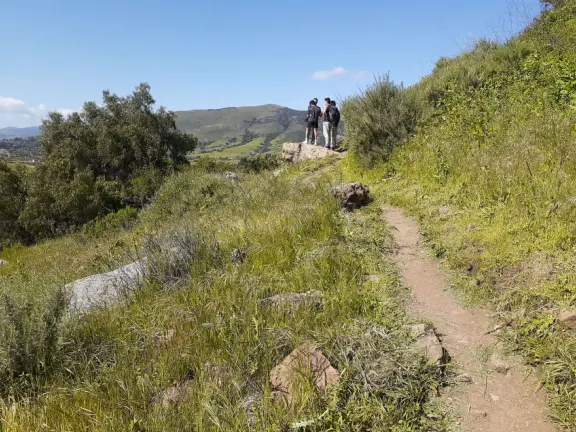 Pretty hike, with views over SLO town, flowers in the spring, and surprise at the top!