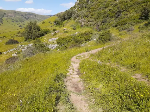 Pretty hike, with views over SLO town, flowers in the spring, and surprise at the top!