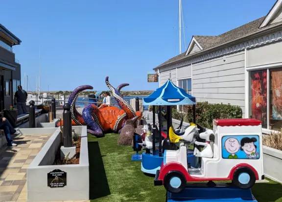 A delightful rock, beautiful wildlife, peaceful idyllic estuary, imaginative playground, and colorful little town.