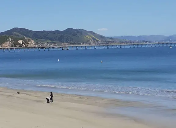 A long stretch of beach where dogs run off leash. Also nice for parking your car above the beach, to watch the ocean in the rain.