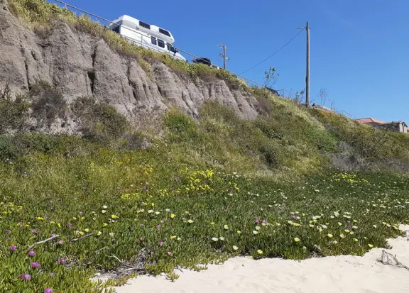 Stairs surrounded by purple and yellow ice plant, leading down to Pismo Beach. Volleyball, long walks, caves, pier and boardwalk.