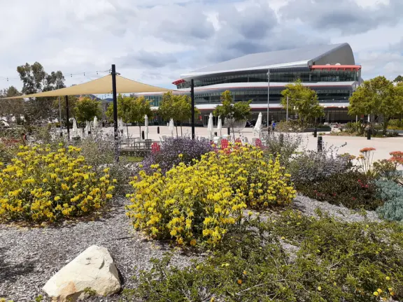 Hilly, sunny campus with tall, impressive trees and green lawns. A hands-on learning university.