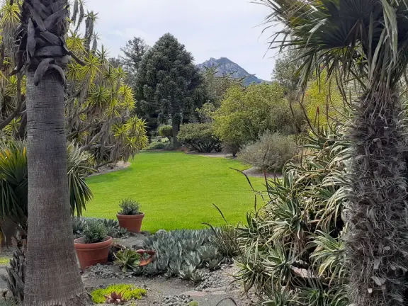 Lovely stroll past many different types of trees blossoming with seeds and flowers.