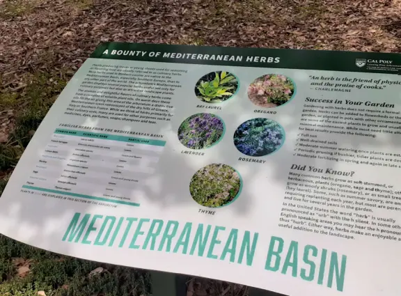 Lovely stroll past many different types of trees blossoming with seeds and flowers.