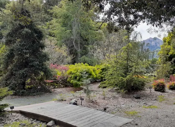 Lovely stroll past many different types of trees blossoming with seeds and flowers.