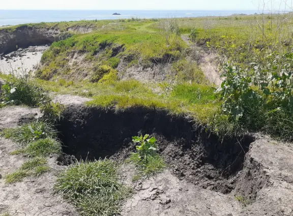 A memorable walk is along the clifftop trail at Estero Bluffs, with the wide open spaces, beach below with shiny green agate rocks, and shipwreck!