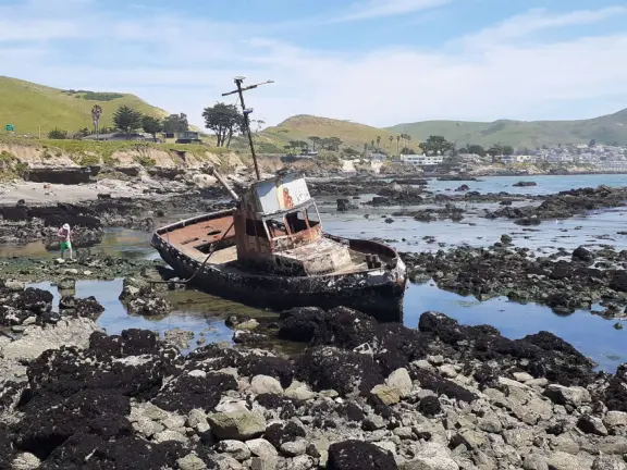 A memorable walk is along the clifftop trail at Estero Bluffs, with the wide open spaces, beach below with shiny green agate rocks, and shipwreck!
