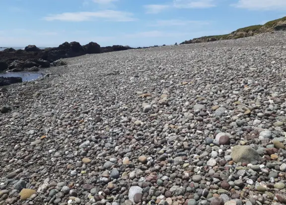 A memorable walk is along the clifftop trail at Estero Bluffs, with the wide open spaces, beach below with shiny green agate rocks, and shipwreck!