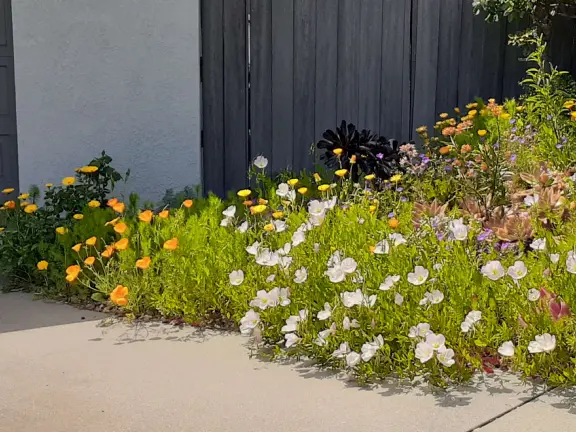 Bike path with views of hills all around, and pretty neighborhood nearby.