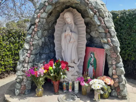 Nice little main street, with cafes, pretty storefronts, park, swinging bridge over a creek with tropical vegetation, and neighborhood with white picket fences and gardens.