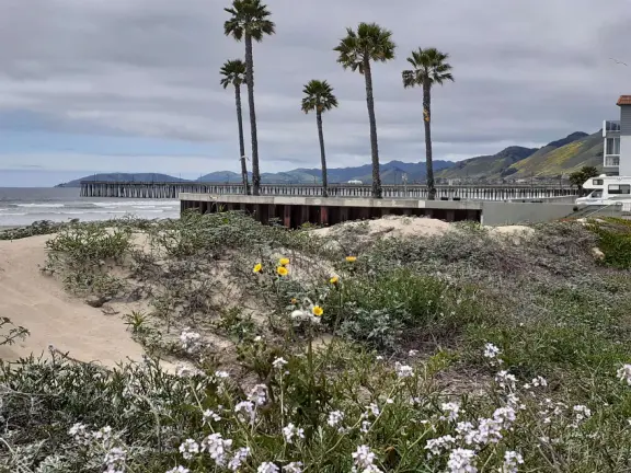 Gorgeous spot with wide pier, surfers carving the waves, whale playground, wide open attractive plaza, Pismo Beach selfie sign, and wooden promenade with views of the hills and sea.