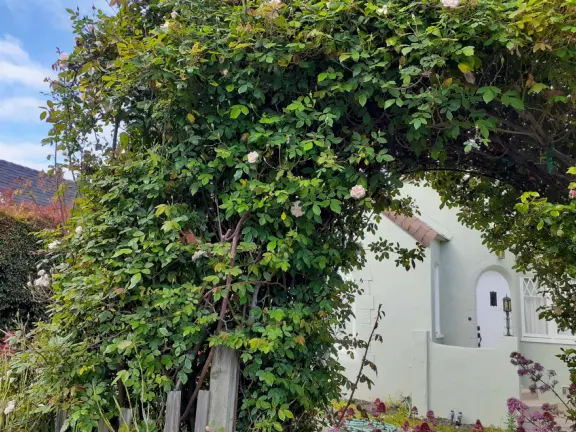 Narrow tree-lined streets in the Anholm District with historic houses and views of Madonna Mountain and Bishop Peak, and a sweet deli.