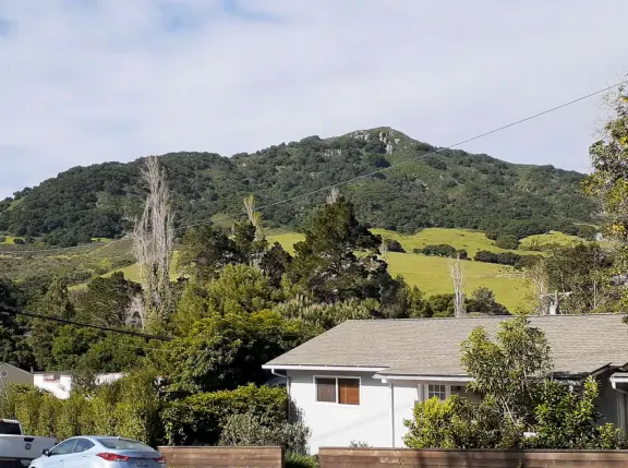 Narrow tree-lined streets in the Anholm District with historic houses and views of Madonna Mountain and Bishop Peak, and a sweet deli.