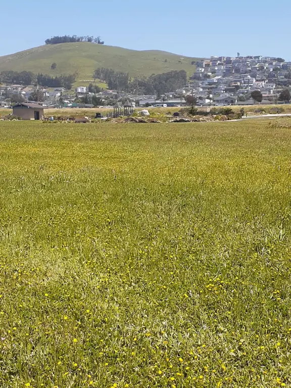 Wide open park behind the dunes in Morro Bay, with play structure with sand floor, and huge lawn with winding paths for tricycling.