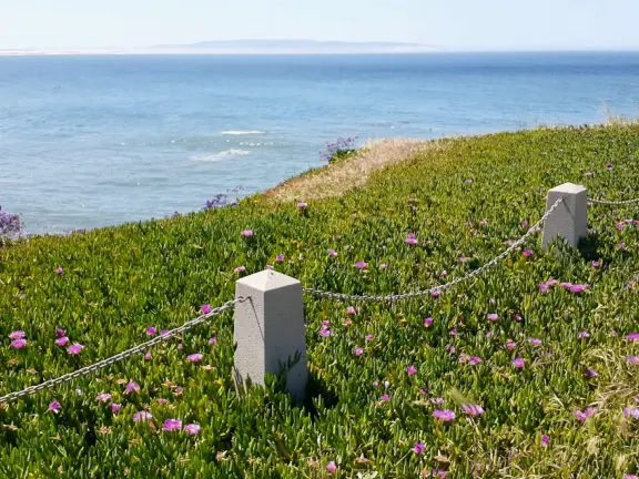 A great place to picnic or marry, with sea caves and jutting sea rocks below cliffs of hanging flowers.