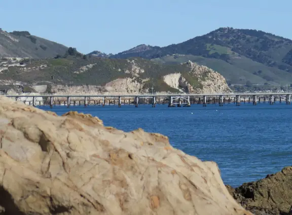 Empty no-dogs-allowed beach with cute rocky area on the left.