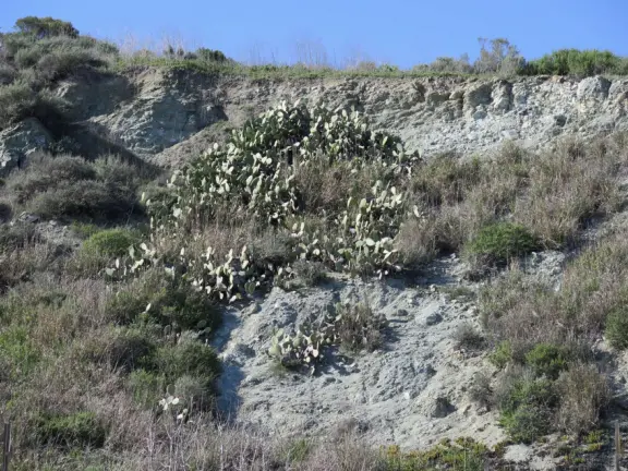 Empty no-dogs-allowed beach with cute rocky area on the left.