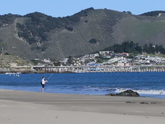 Empty no-dogs-allowed beach with cute rocky area on the left.