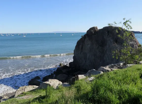 A long stretch of beach where dogs run off leash. Also nice for parking your car above the beach, to watch the ocean in the rain.