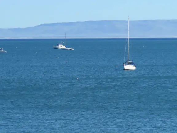 A long stretch of beach where dogs run off leash. Also nice for parking your car above the beach, to watch the ocean in the rain.