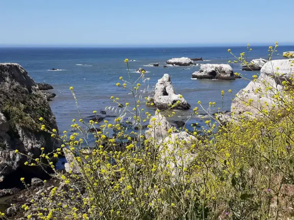 A great place to picnic or marry, with sea caves and jutting sea rocks below cliffs of hanging flowers.