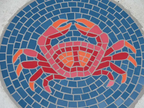 Coffee shop and cafes, plus a dedicated bike path that runs for 1.1 km from Dinosaur Caves Park to the elementary school.