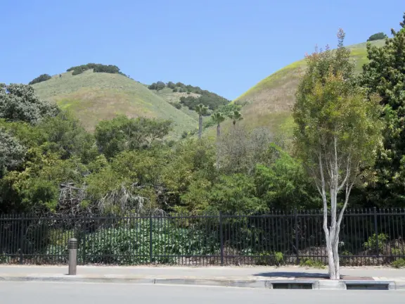 Coffee shop and cafes, plus a dedicated bike path that runs for 1.1 km from Dinosaur Caves Park to the elementary school.