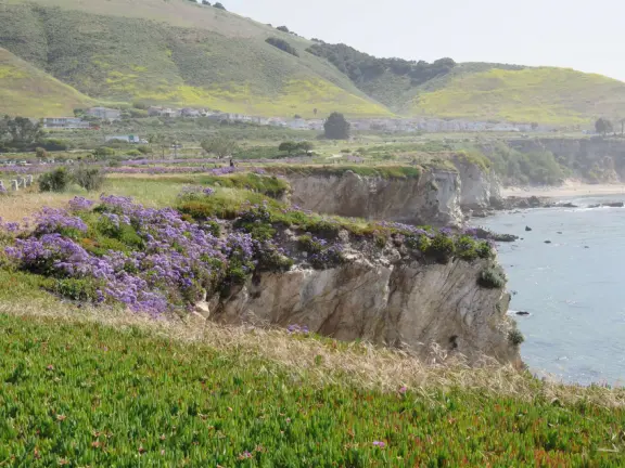 A great place to picnic or marry, with sea caves and jutting sea rocks below cliffs of hanging flowers.