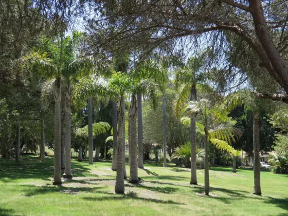 Supremely nice views from many varied vantage points. A clifftop park, beach with tide pools, and start of a long walk.