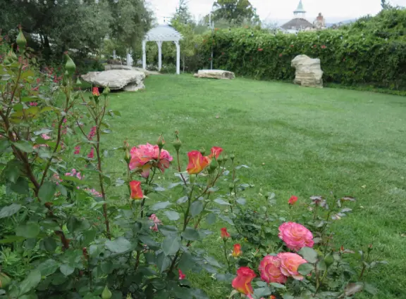 Walk the secret garden, plus admire the ranunculus flowers at the Madonna Inn entrance door in springtime, or swing, line, and ballroom dance on the fancy dance floor to live music most nights!