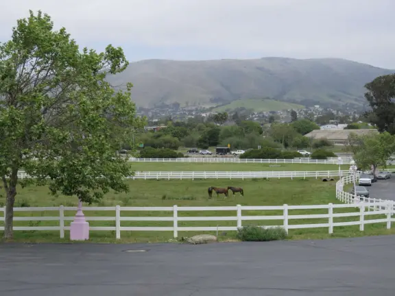 Walk the secret garden, plus admire the ranunculus flowers at the Madonna Inn entrance door in springtime, or swing, line, and ballroom dance on the fancy dance floor to live music most nights!