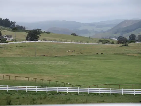Walk the secret garden, plus admire the ranunculus flowers at the Madonna Inn entrance door in springtime, or swing, line, and ballroom dance on the fancy dance floor to live music most nights!