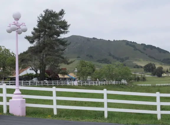 Walk the secret garden, plus admire the ranunculus flowers at the Madonna Inn entrance door in springtime, or swing, line, and ballroom dance on the fancy dance floor to live music most nights!