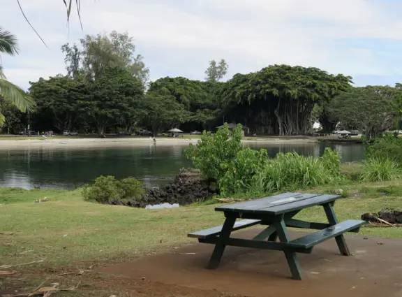 Small park with picnic tables, and views across the water to Reeds Bay Beach Park.