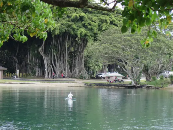 Small park with picnic tables, and views across the water to Reeds Bay Beach Park.