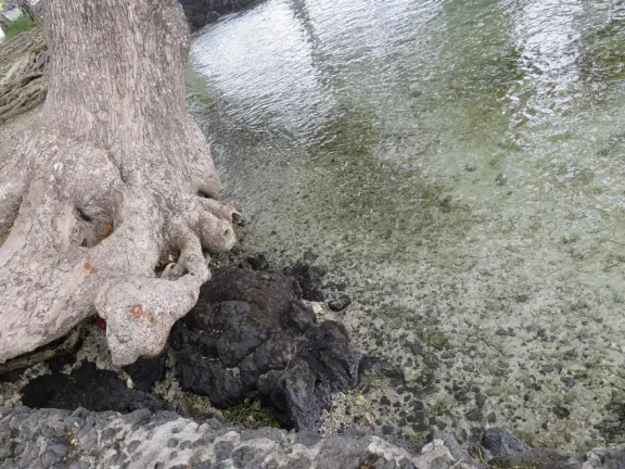Boats and kayaks in the water, while local families have big gatherings on the grass.