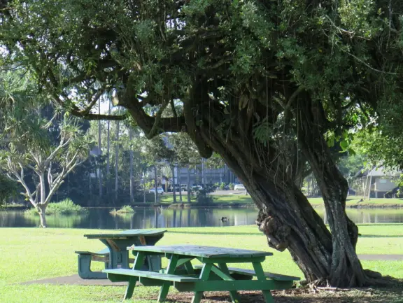 Beautiful statue backed by trees, with fruit and flower offerings below it. Huge lawn, narrow paths, picnic tables, and pedestrian bridge to Wailoa River State Park.
