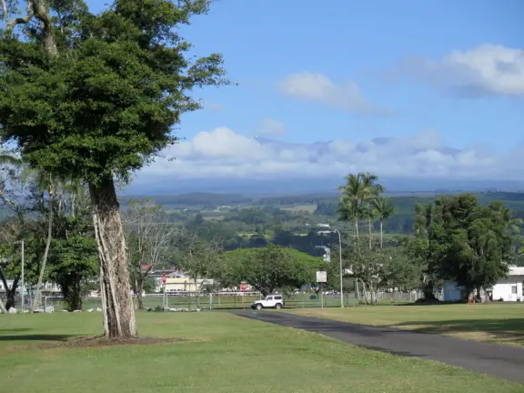 Beautiful statue backed by trees, with fruit and flower offerings below it. Huge lawn, narrow paths, picnic tables, and pedestrian bridge to Wailoa River State Park.