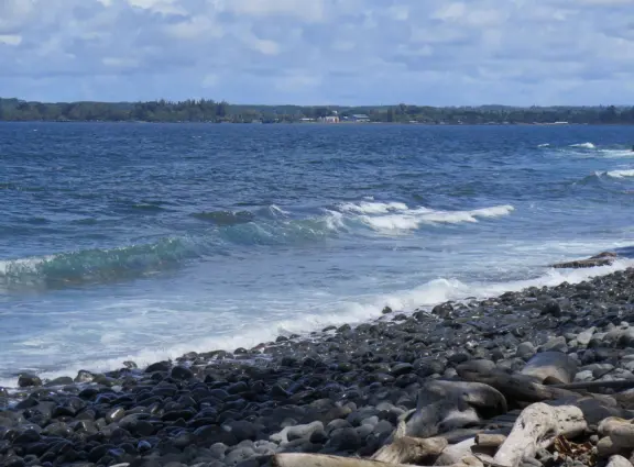 Honoli'i (Honolii) Beach Park has a beautiful headland, tropical vegetation, and a popular surfbreak.