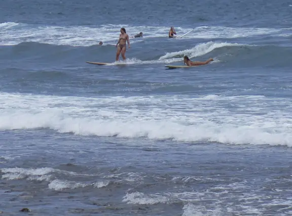 Honoli'i (Honolii) Beach Park has a beautiful headland, tropical vegetation, and a popular surfbreak.