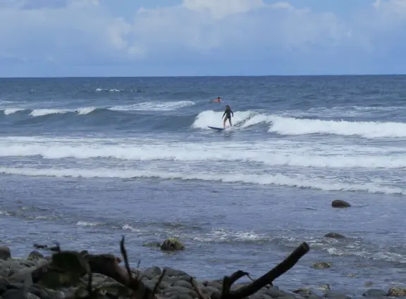 Honoli'i (Honolii) Beach Park has a beautiful headland, tropical vegetation, and a popular surfbreak.