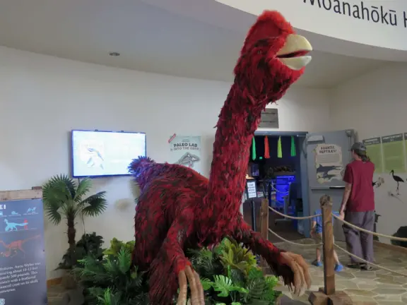 Like a children's museum, with lots of fun hands-on activities and colorful rooms, but plenty of interesting information for adults to read too.