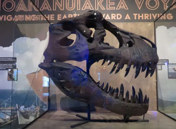 Like a children's museum, with lots of fun hands-on activities and colorful rooms, but plenty of interesting information for adults to read too.