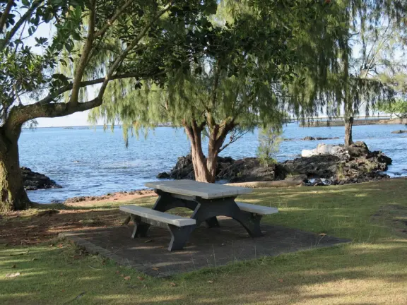 Green, green&nbsp;gardens with Japanese bridges and ponds, and views of silvery Hilo Bay and Mauna Kea.