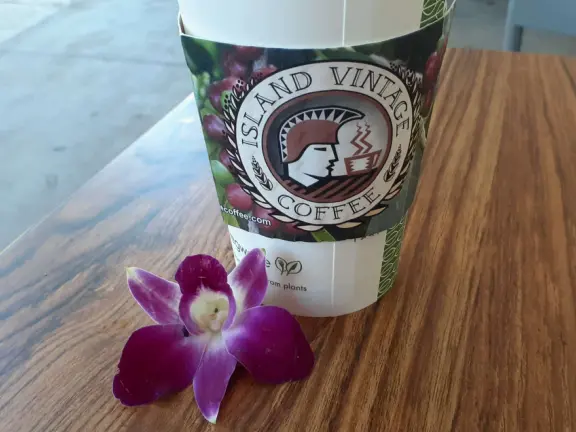 A ritzy mall with beautiful trees, public spaces, breezy restaurants, and a good coffee shop.