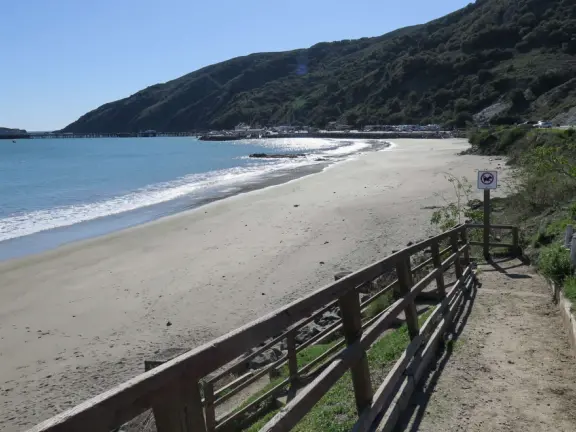 Empty no-dogs-allowed beach with cute rocky area on the left.