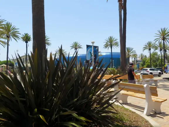 A gorgeous new development, with restaurants overlooking the harbor and colorful walkways.