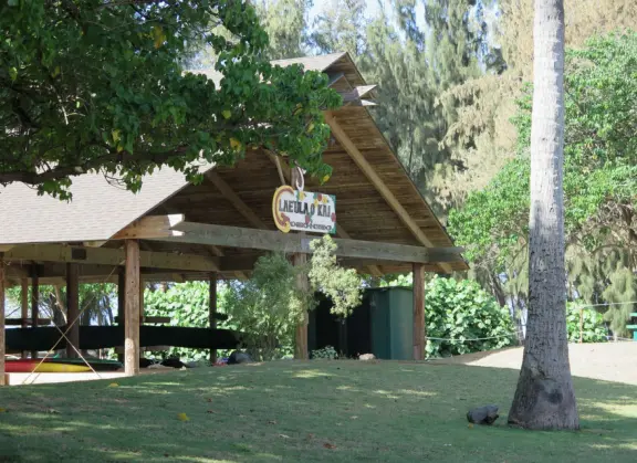 An incredibly beautiful beach with technicolor water, white sand strewn with coral, and colorful kite surfers zooming by, all framed by gorgeous mountains.