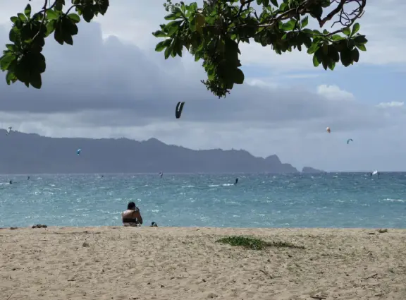 An incredibly beautiful beach with technicolor water, white sand strewn with coral, and colorful kite surfers zooming by, all framed by gorgeous mountains.