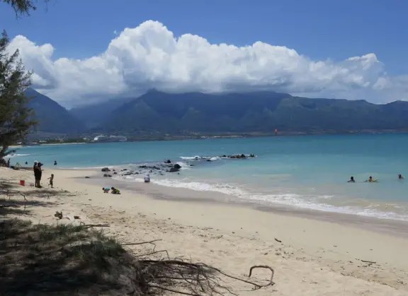 An incredibly beautiful beach with technicolor water, white sand strewn with coral, and colorful kite surfers zooming by, all framed by gorgeous mountains.